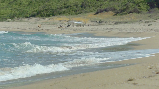 海洋自然和绿树区域视频素材