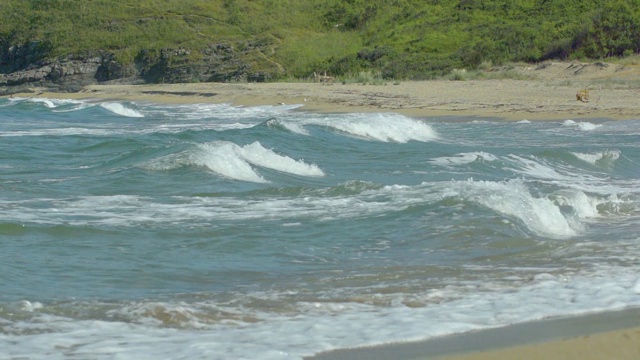 海浪和绿树的区域视频素材