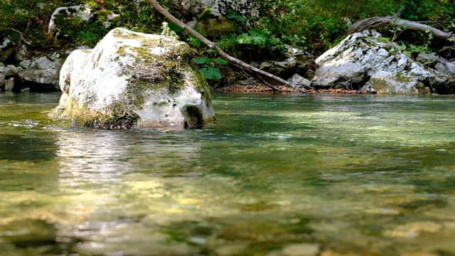 平静而缓慢的水流视频素材