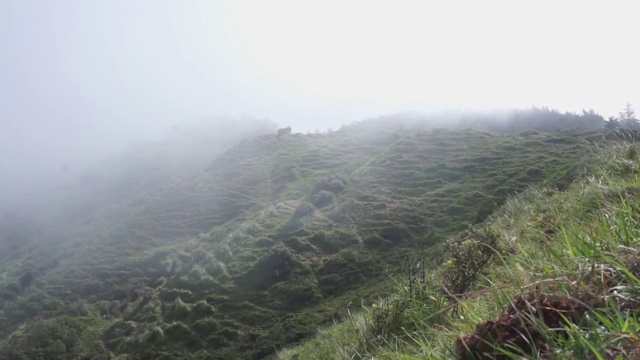 寒冷，雾蒙蒙的森林山。恶劣的天气和浓雾在高山公园。清晨浓雾笼罩着神秘的森林山脉视频素材