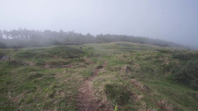 大雨过后，云雾带着强风在高山上移动。清晨浓雾笼罩着神秘的森林山脉视频素材