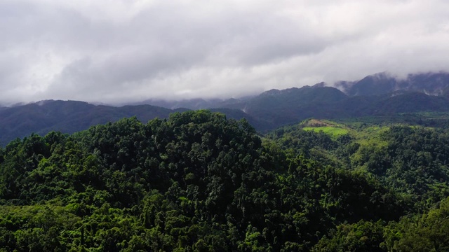 山峰上布满了雨林和云雾视频素材