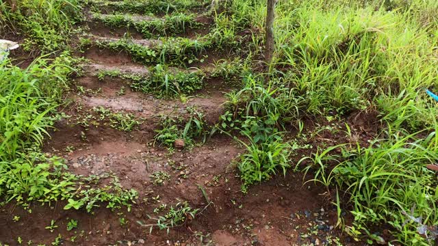 在毛毛细雨的日子里，在山上行走的小路上有一个带草的泥土楼梯的运动推移视频。Doi Mae Tho，清迈，泰国。视频素材