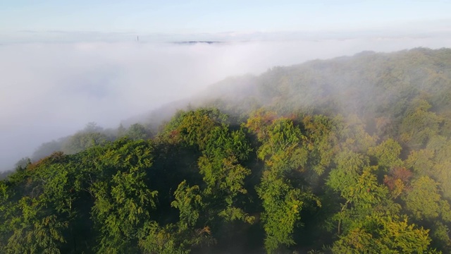 笼罩群山的晨雾。鸟瞰图的绿树覆盖着浓雾视频素材