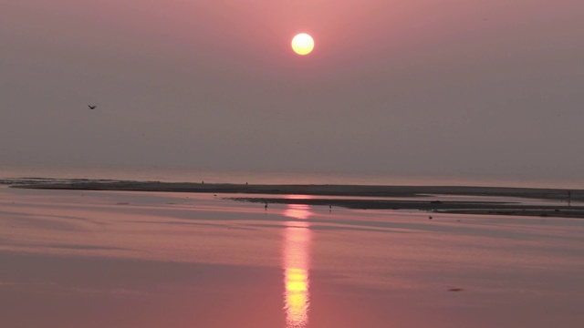 清晨日出海滩，自然景观视频素材