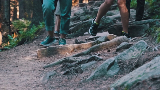 组团游客沿山林石径攀爬的腿景视频素材