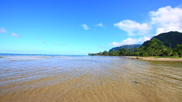 红骨海滩视频素材