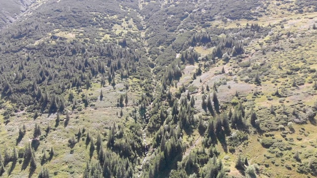 空中全景的绿色山脉和丘陵在喀尔巴阡山谷视频素材