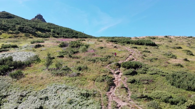 空中全景的绿色山脉和丘陵在喀尔巴阡山谷视频素材