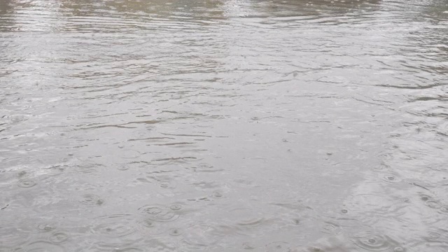 雨点落在被水淹没的街道上(特写)视频素材