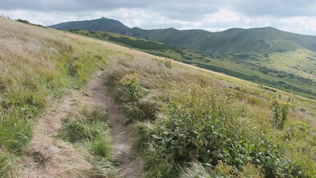 山脉中一座山上的山道。景观的观点。喀尔巴阡山脉的谷视频素材