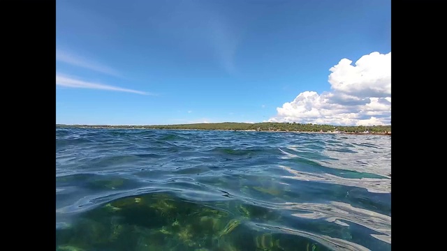 由于气候变化导致的高温海水造成了水母瘟疫，克罗地亚附近水域的彩色肋状水母视频素材