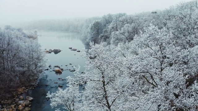 冬天美丽的大自然。鸟瞰图，河流在积雪的树木之间流动。令人惊叹的白树和浅河景观。视频素材