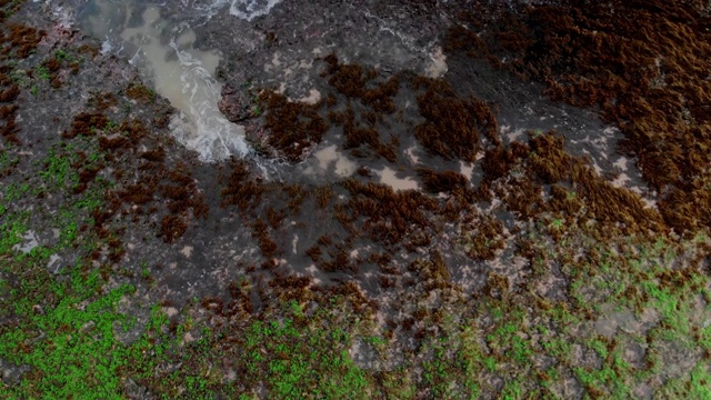 岩石滩海浪无人机视频素材