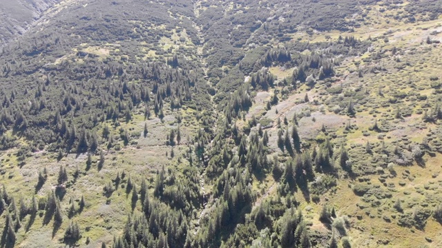 空中全景的绿色山脉和丘陵在喀尔巴阡山谷视频素材