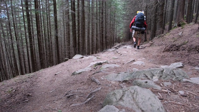 一名背包游客沿着石山步道行走在森林里视频素材