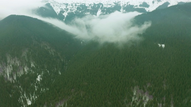 鸟瞰山林，鸟瞰山林中美丽的森林，鸟瞰云杉林，山川景观，飞跃山林与野生森林。视频素材