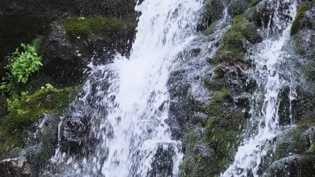 野生山瀑布。快速下落的水击中石头。慢动作视频素材