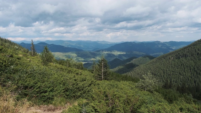 景观的绿色山丘在山谷的山脉与针叶林视频素材