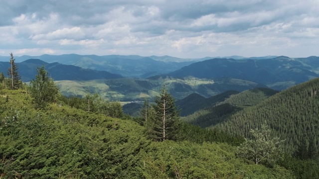 景观的绿色山丘在山谷的山脉与针叶林视频素材