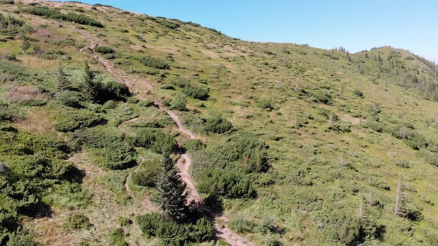 空中全景的绿色山脉和丘陵在喀尔巴阡山谷视频素材