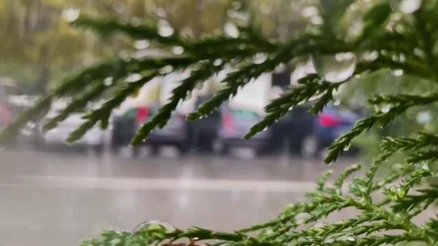 雨滴和大风模糊了树木，望向窗外能见度很差。夏日的雨和模糊的背景。外面开车。视频素材