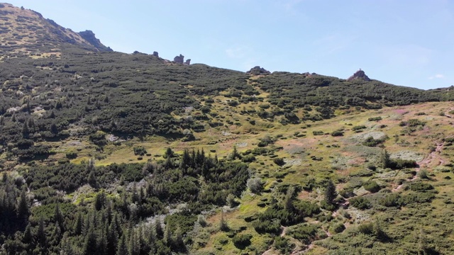 空中全景的绿色山脉和丘陵在喀尔巴阡山谷视频素材