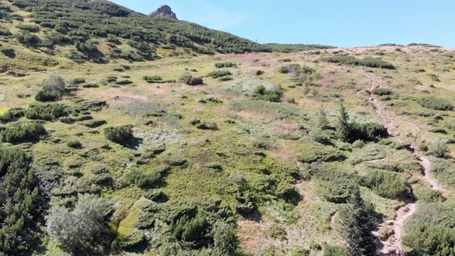 空中全景的绿色山脉和丘陵在喀尔巴阡山谷视频素材