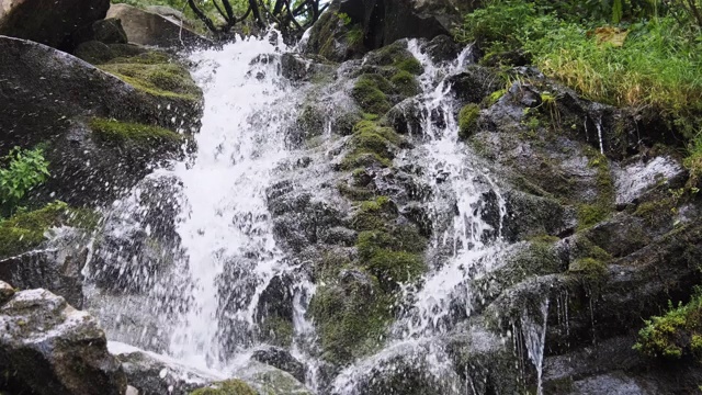 野生山瀑布。快速下落的水击中石头。慢动作视频素材