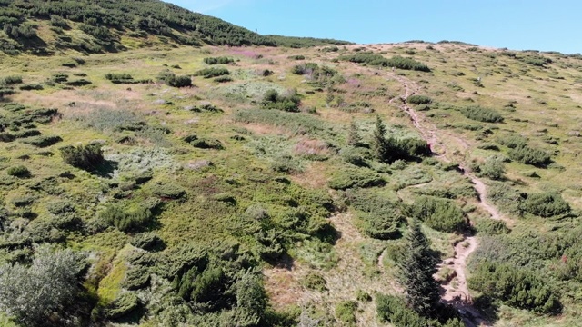 空中全景的绿色山脉和丘陵在喀尔巴阡山谷视频素材