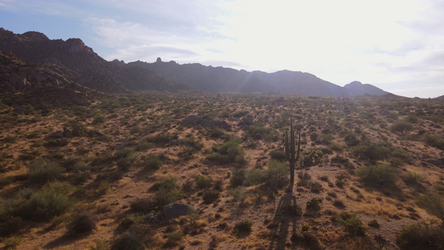 沙漠荒野上空撒瓜罗仙人掌树背光夕阳。汤姆姆姆，麦克道尔山，斯科茨代尔，美国亚利桑那州视频素材