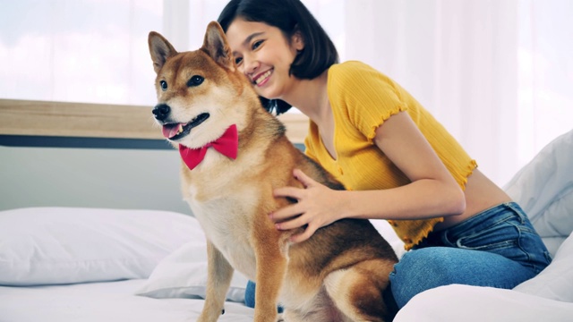 一个年轻女子在家里和她的柴犬玩耍视频素材