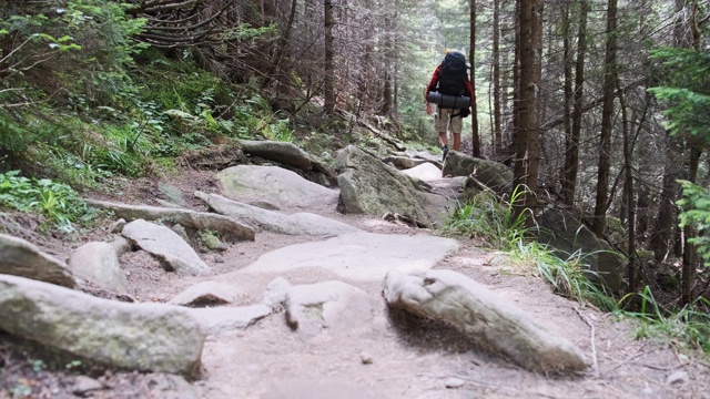 一名背包游客在森林中沿着石山步道攀登视频素材