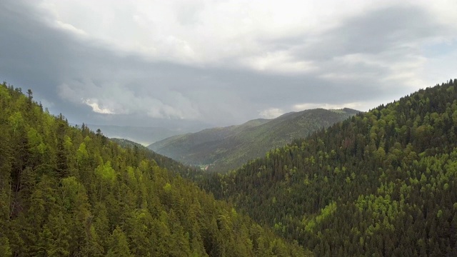 在多云的夏季天气，高山覆盖着绿色云杉森林的鸟瞰图。视频素材