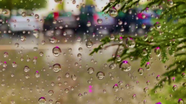 窗外的雨。屋内观窗，窗外春雨滂沱。圆点图案的圆形雨滴看起来像珠子视频素材