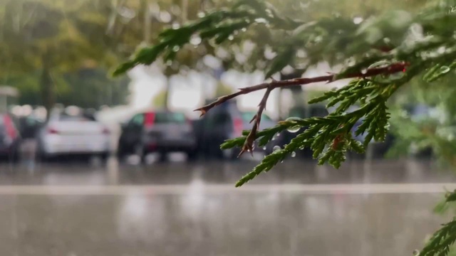 下雨的日子，绿树在暴风雨中，雨水落在窗户表面。模糊的城市背景。视频素材