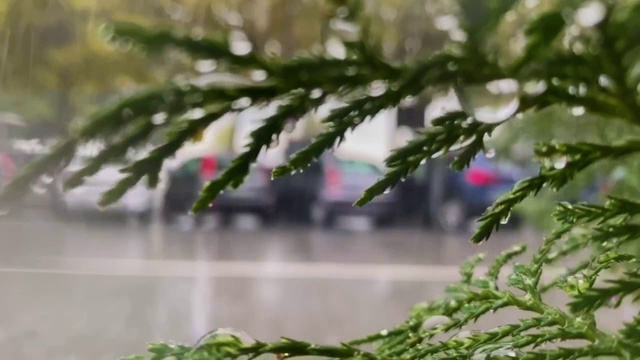 城市街道上模糊的物体和雨滴落在窗户玻璃上。汽车从窗口驶过。模糊的观点。视频素材