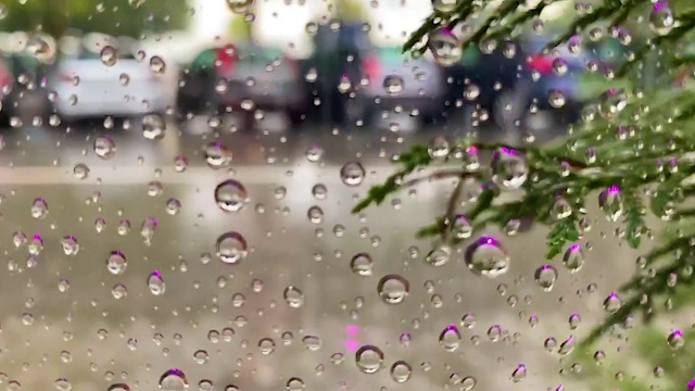 雨滴落在玻璃上。在背景模糊的汽车。树随风摆动。窗外的景色。视频素材