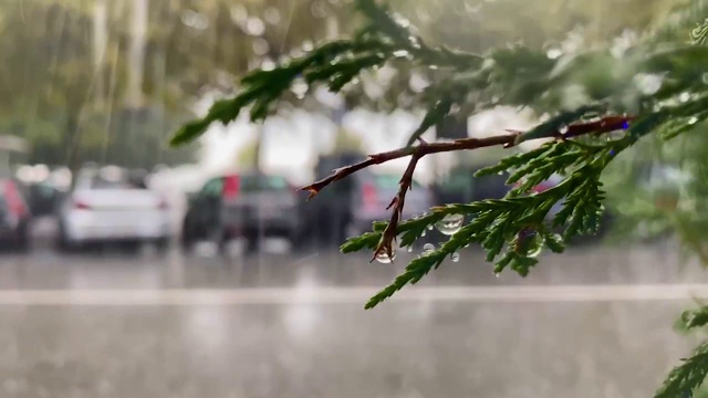 在一个夏天的阴天，雨滴滴落在窗玻璃上。水滴从玻璃杯里淌下来。模糊的背景中，树木随风飘动。视频素材