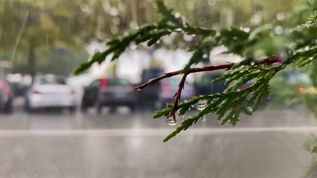 雨滴和大风模糊了树木，望向窗外能见度很差。夏日的雨和模糊的背景。外面开车。视频素材