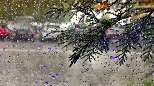 雨滴落在玻璃上，美丽的雨滴落在窗户上，模糊了五颜六色的秋叶的背景。向窗外看，能见度很差。视频素材