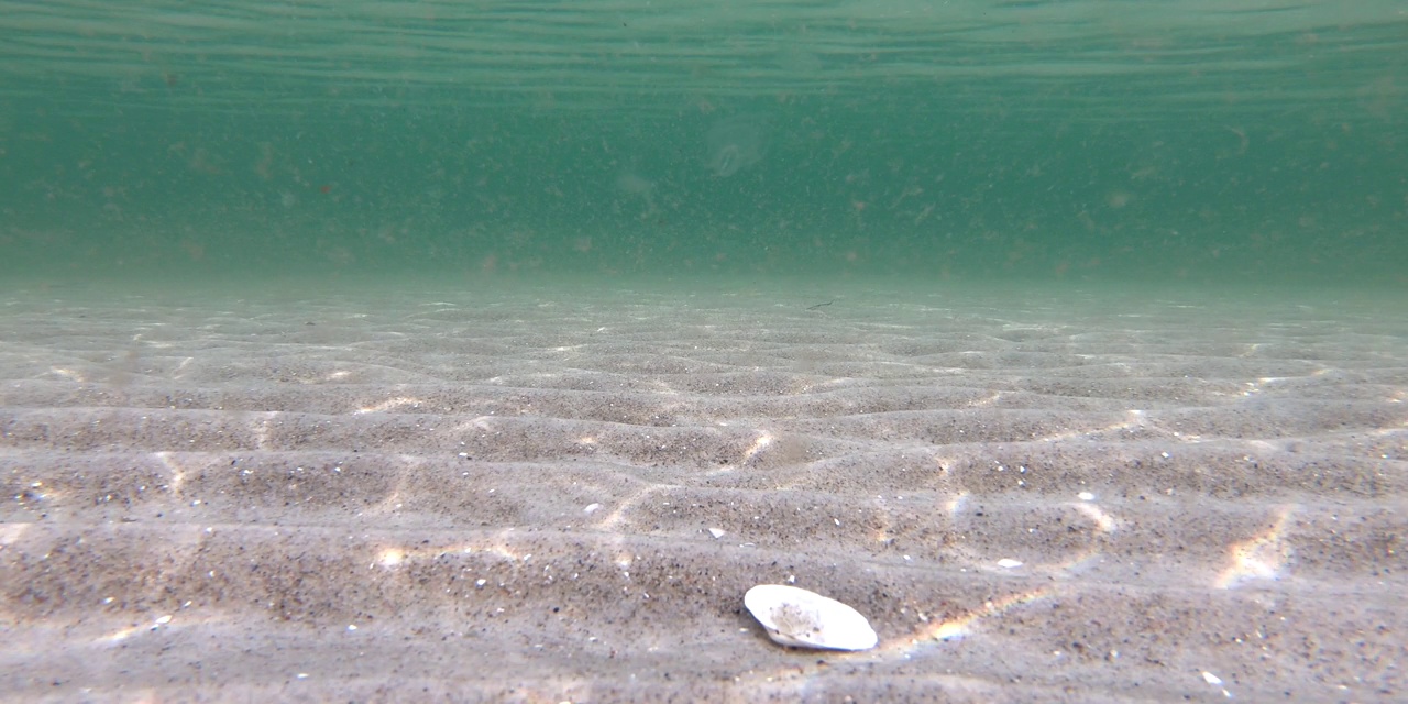 由于阳光和海浪，波罗的海的沙海床上的建筑物视频素材