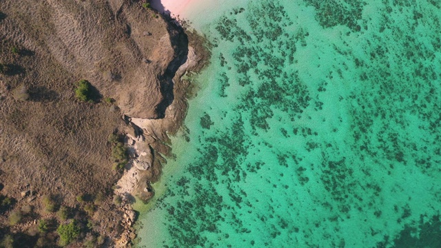 淡粉色沙滩，清澈的海水和珊瑚礁，热带鱼和一些强大的水流，被称为粉红海滩或长岛位于科莫多国家公园，东努沙登加拉，印度尼西亚视频下载