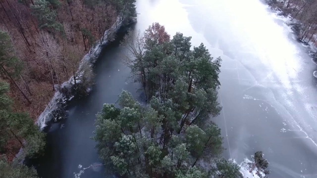 河在森林视频素材