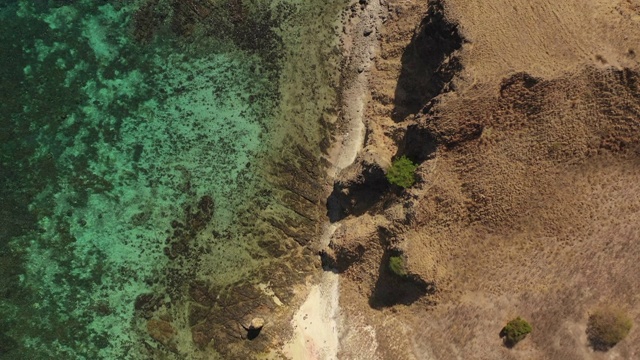 淡粉色沙滩，清澈的海水和珊瑚礁，热带鱼和一些强大的水流，被称为粉红海滩或长岛位于科莫多国家公园，东努沙登加拉，印度尼西亚视频素材