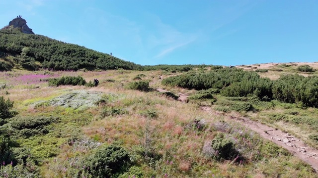 空中全景的绿色山脉和丘陵在喀尔巴阡山谷视频素材