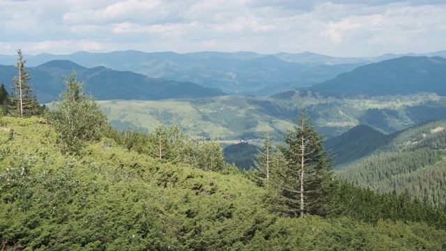 景观的绿色山丘在山谷的山脉与针叶林视频素材