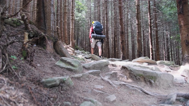 一名背包游客沿着石山步道行走在森林里视频素材