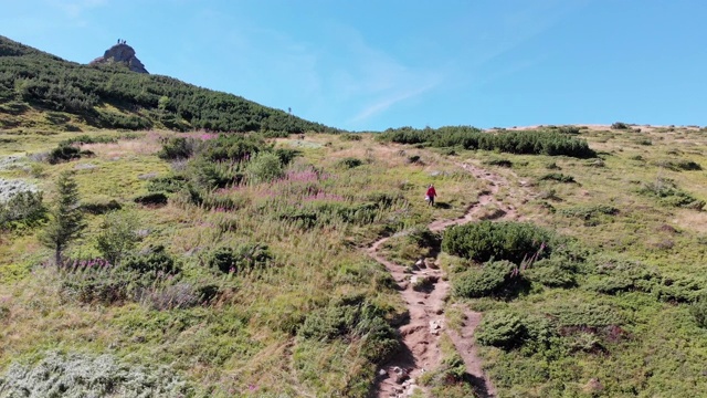 空中全景的绿色山脉和丘陵在喀尔巴阡山谷视频素材