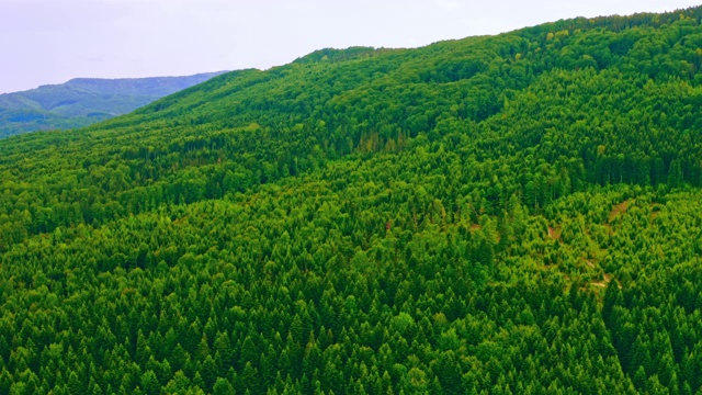 绿林高地鸟瞰图视频素材